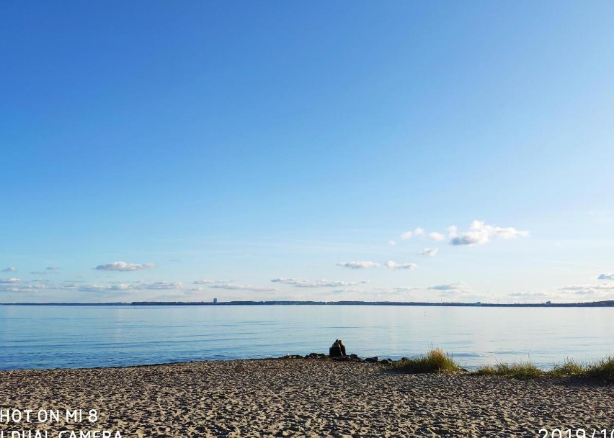 Apartamento ZUM WOHLFÜHLEN FÜR 4 ERWACHSENE +1 Kind, Schwimmbad vor der Tür Tiere erlaubt Sierksdorf Exterior foto