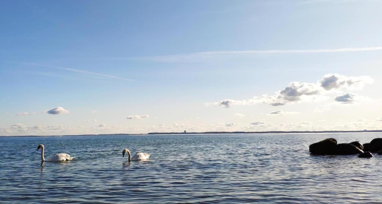 Apartamento ZUM WOHLFÜHLEN FÜR 4 ERWACHSENE +1 Kind, Schwimmbad vor der Tür Tiere erlaubt Sierksdorf Exterior foto