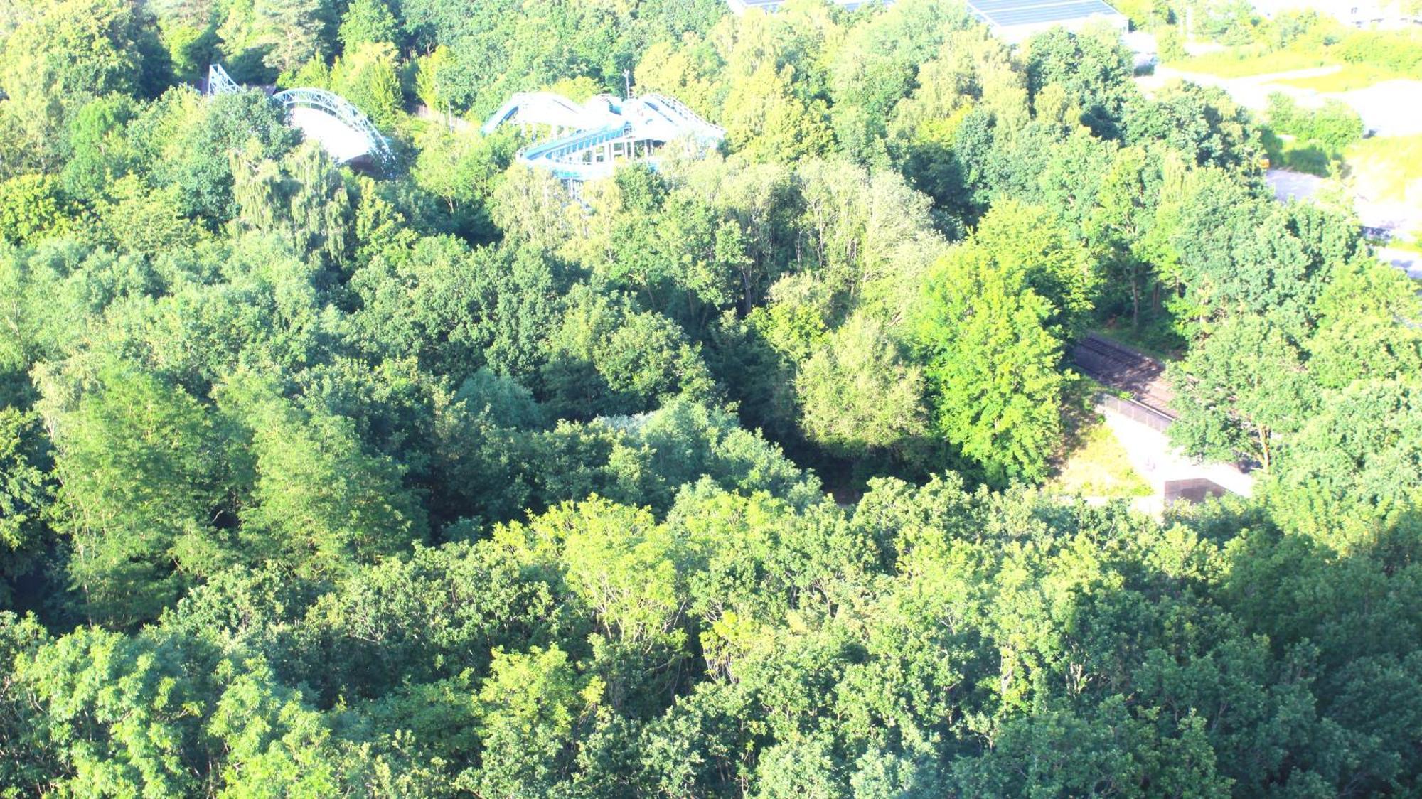 Apartamento ZUM WOHLFÜHLEN FÜR 4 ERWACHSENE +1 Kind, Schwimmbad vor der Tür Tiere erlaubt Sierksdorf Exterior foto